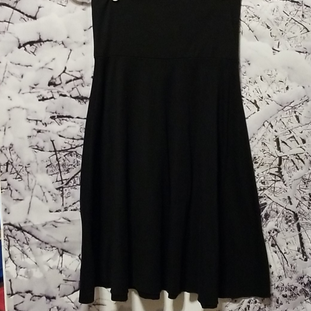 Size XS Black Skirt with flare bottom